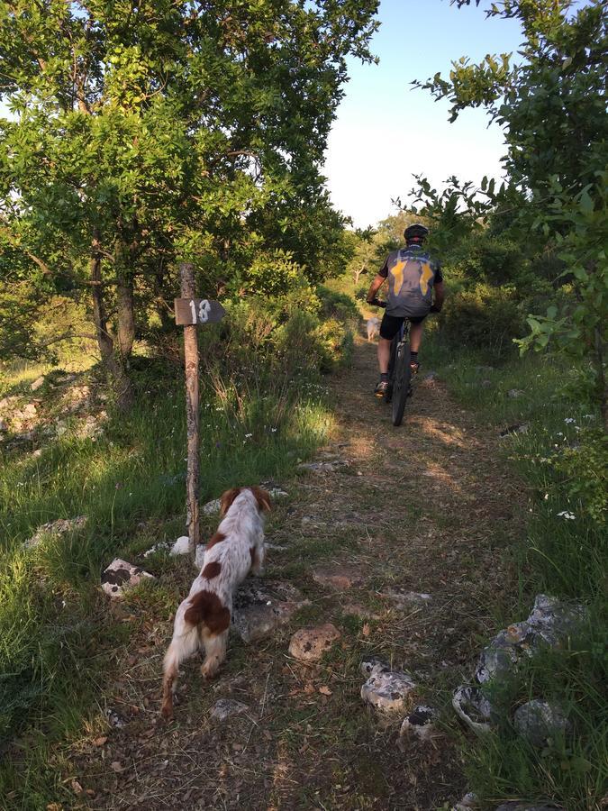 Masseria Camarda 切列梅萨皮卡 外观 照片